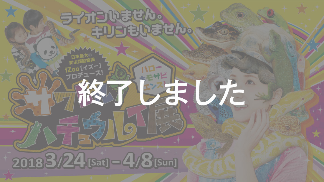 「サワレルハチュウルイ展」、会場の様子を動画で大公開！